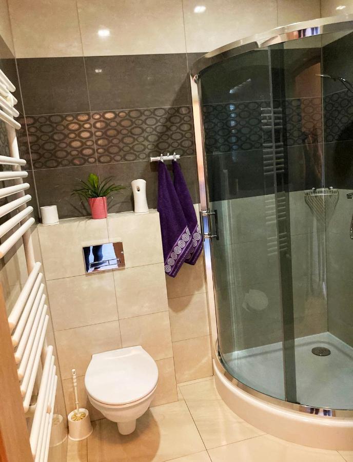 Appartement Apartament Szarlotka à Jelenia Góra Extérieur photo