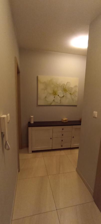 Appartement Apartament Szarlotka à Jelenia Góra Extérieur photo