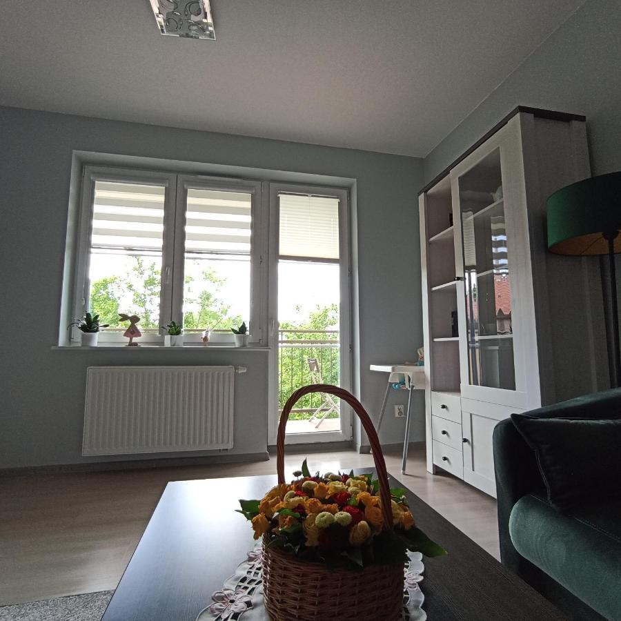 Appartement Apartament Szarlotka à Jelenia Góra Extérieur photo